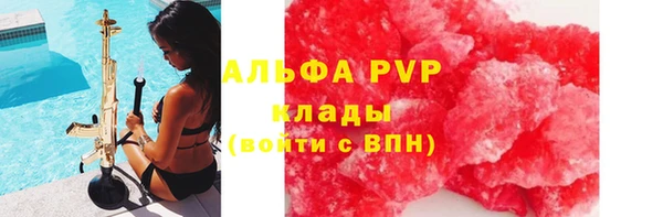 стафф Богородск