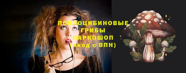 стафф Богородск