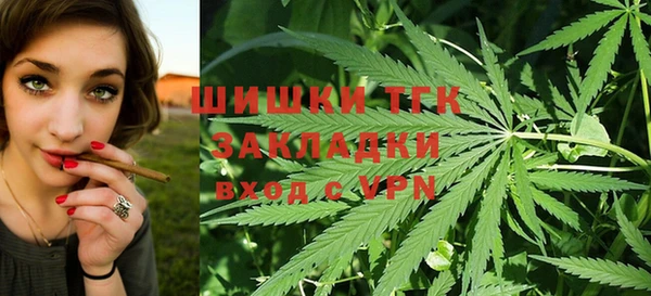 шишки Тутаев