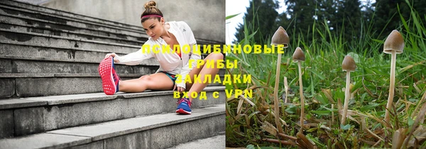 стафф Богородск