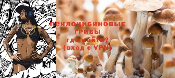 скорость Богданович