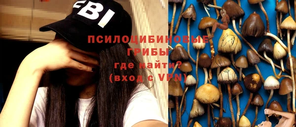 амфетамин Богородицк