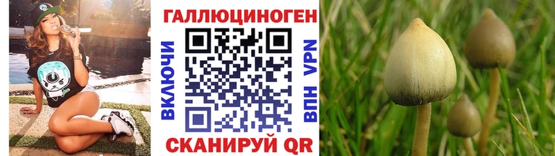 Галлюциногенные грибы мицелий  Кинель 